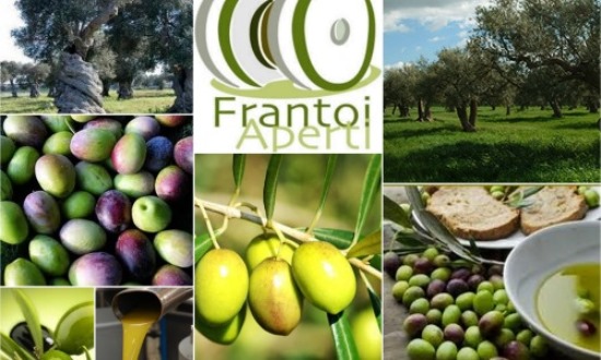 Olio