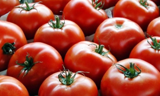 Pomodori