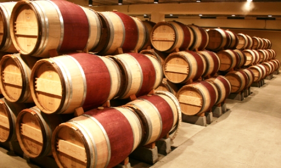 Vino